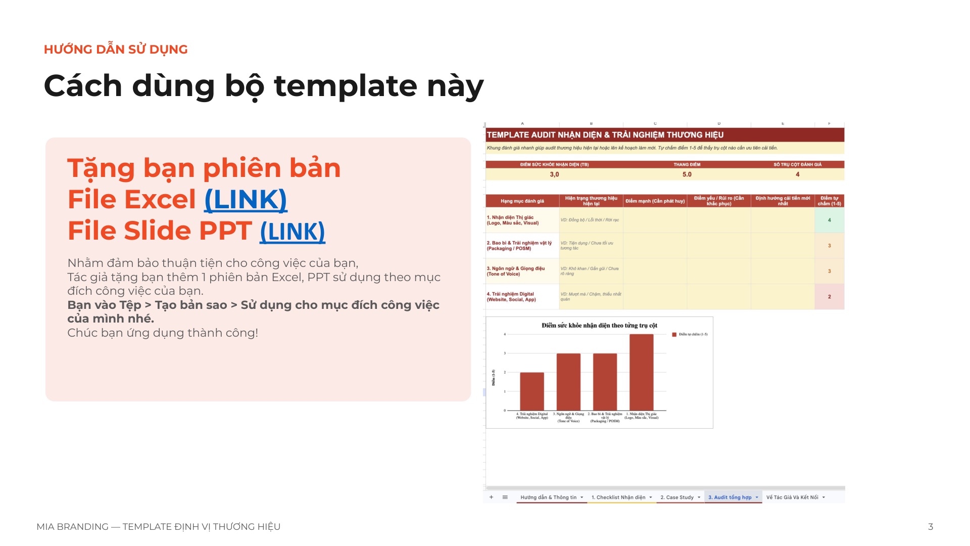 Template Nhận Diện & Trải Nghiệm Thương Hiệu (Brand Identity & Experience)